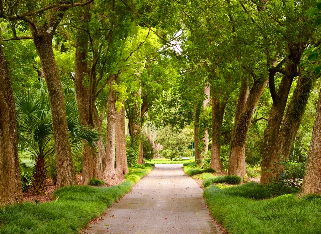 Harry P. Leu Gardens