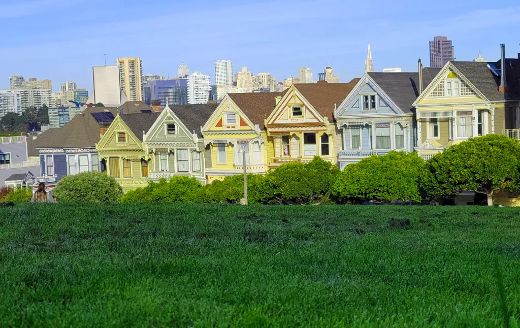 Painted Ladies