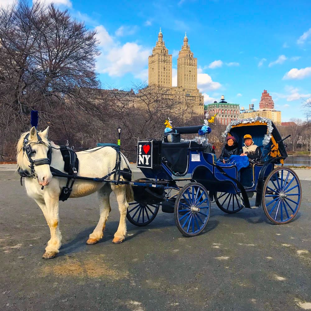 Official NYC Horse Carriage Rides in Central Park