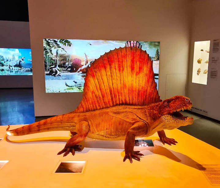 Houston Museum of Natural Science: Where Learning Comes to Life