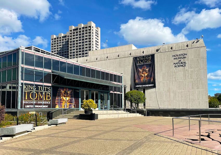 Houston Museum of Natural Science: Where Learning Comes to Life