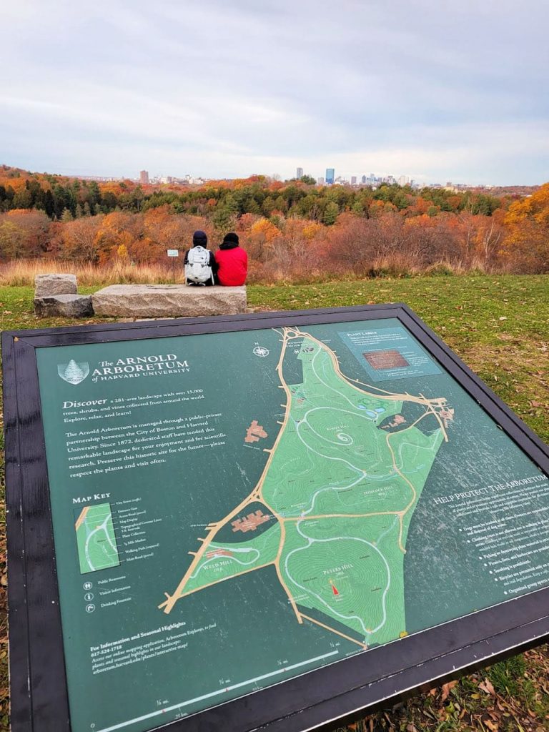 Romance Amidst Nature at the Arnold Arboretum