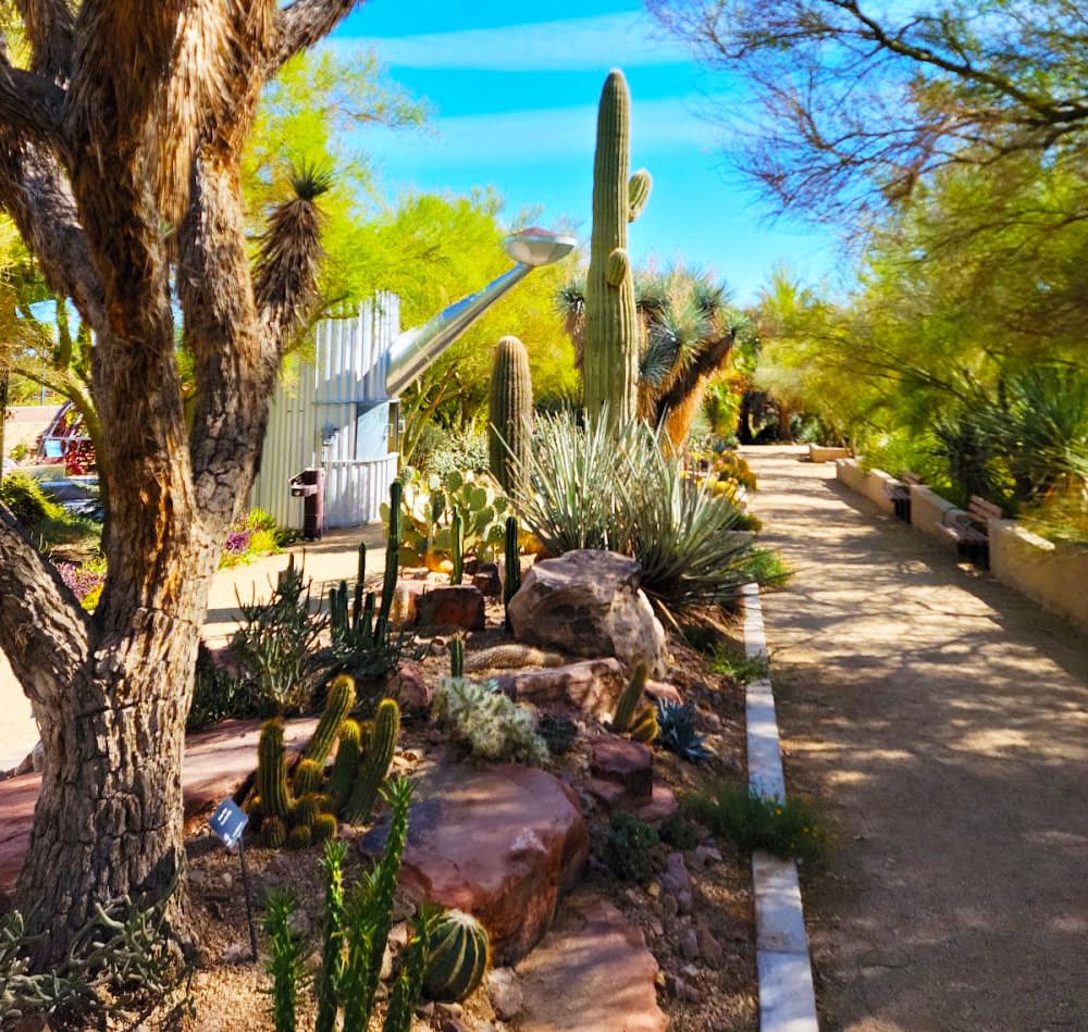 Springs Preserve: Nature's Playground