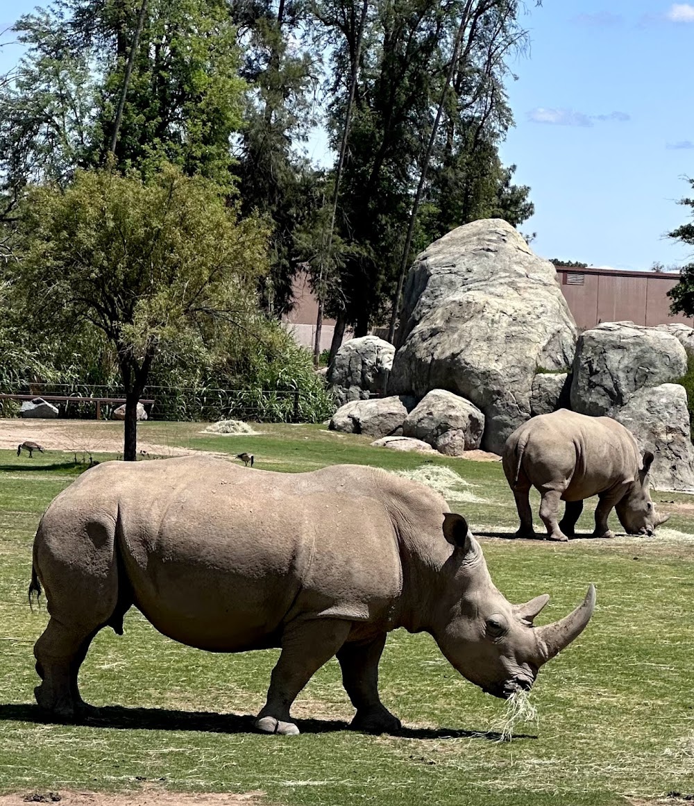 Fresno Chaffee Zoo