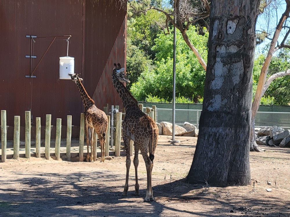 Fresno Chaffee Zoo