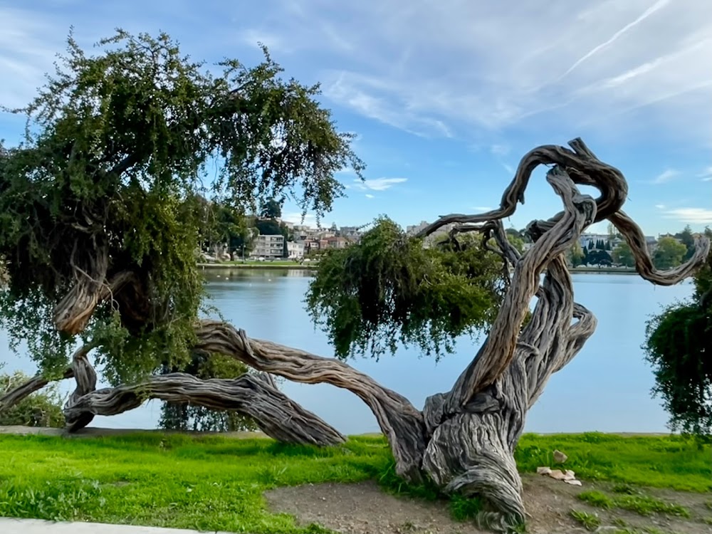 Lake Merritt