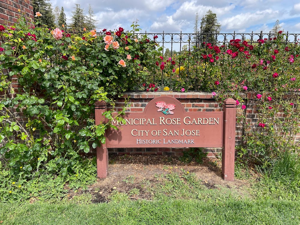 Municipal Rose Garden